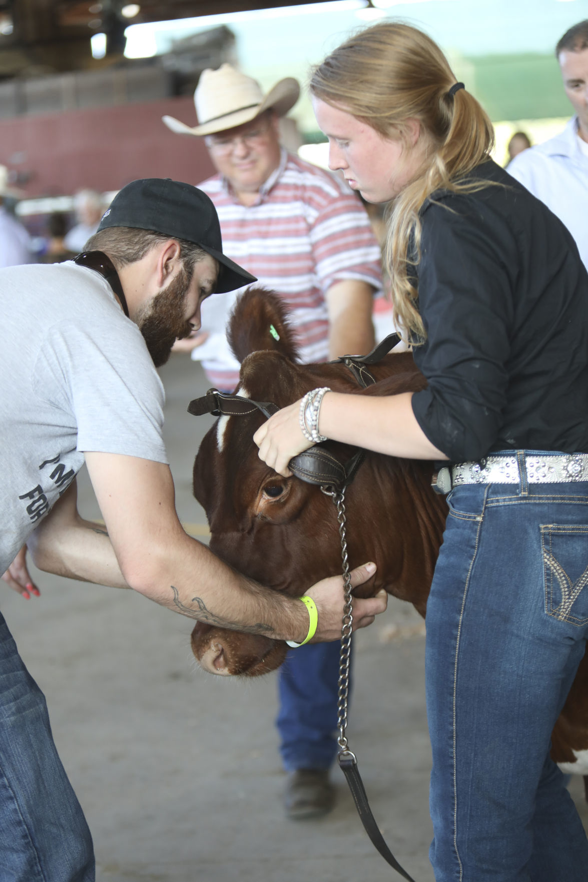 Benton County Fair